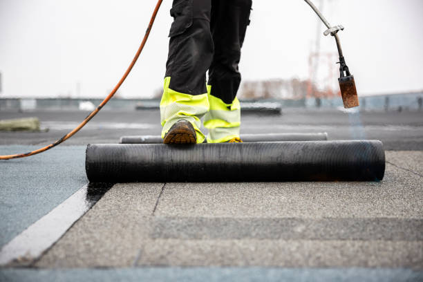 Best Cold Roofs  in Sausalito, CA
