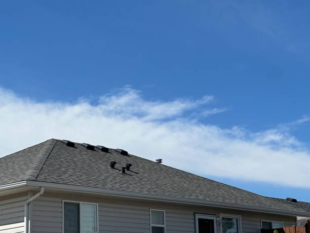 Best Flat Roofing  in Sausalito, CA